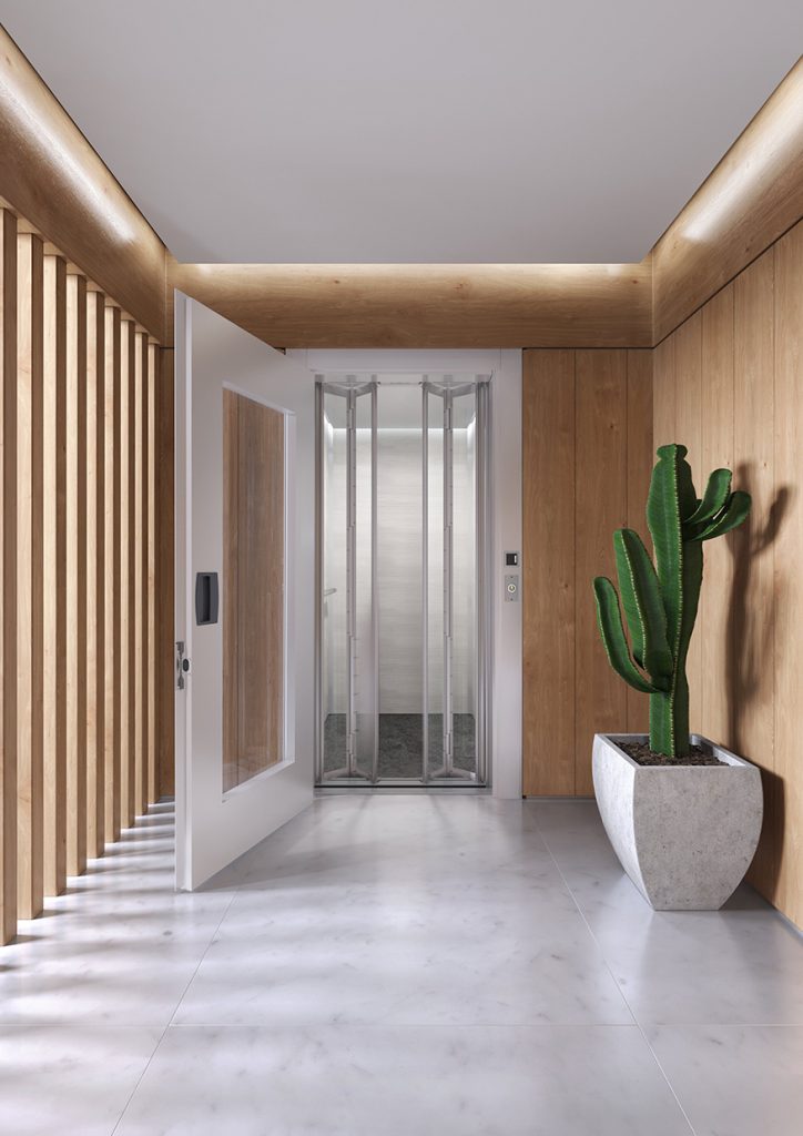 Indian home elevator design options