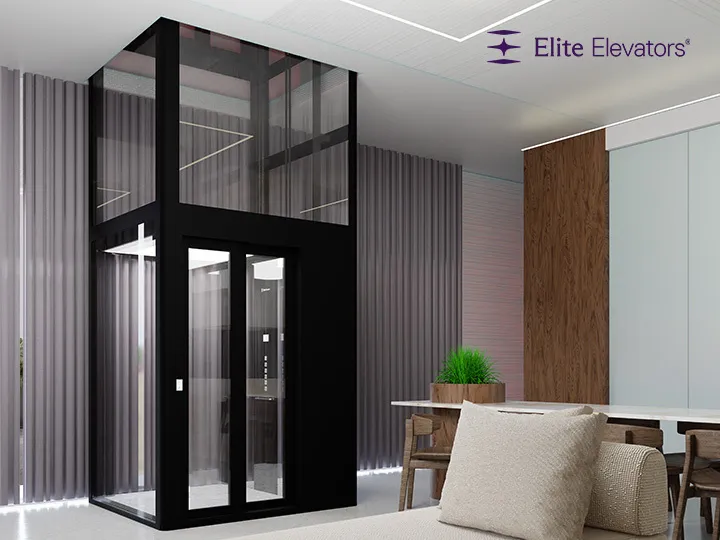 Small Elevators for Homes – Compact X300+ Home Lift